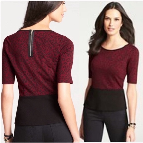 Ann Taylor Leopard Print Ponte Knit Top - Picture 1 of 6